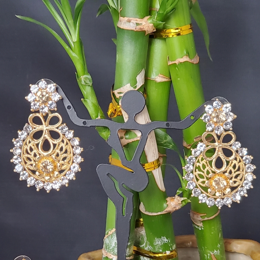 Fancy Earring